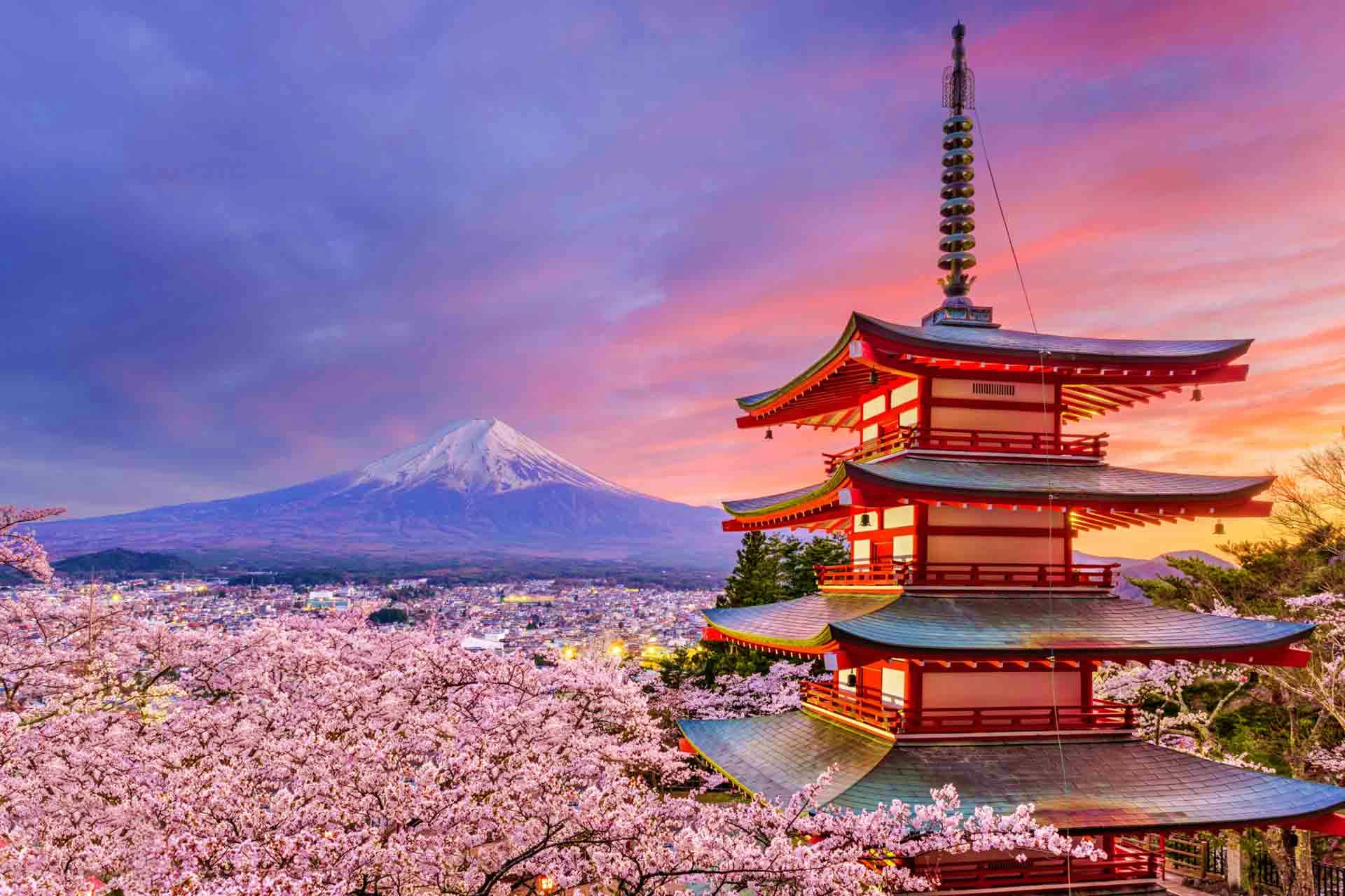 Red pagoda with Mount Fuji and cherry blossom trees at sunset in Japan